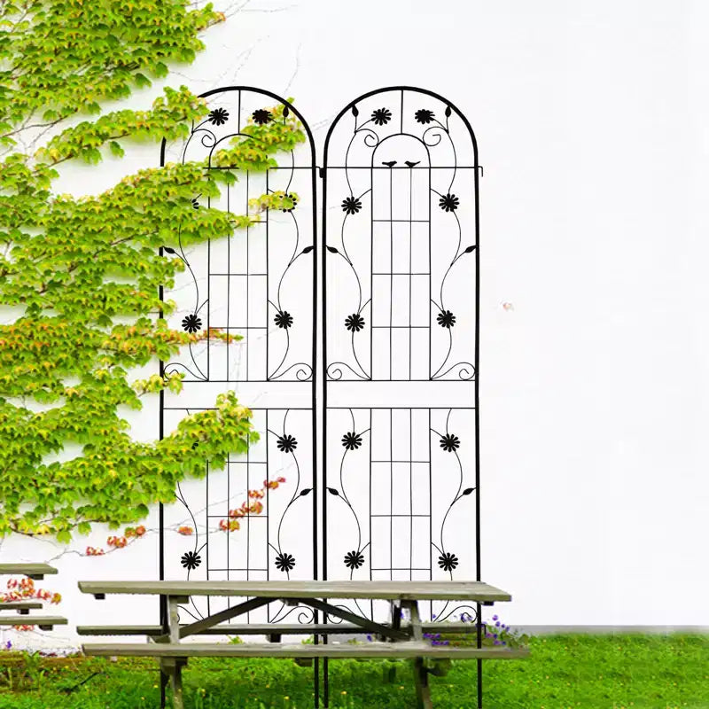 Lot de 2 treillis de jardin en métal noir antirouille de 220 x 50 cm pour plantes grimpantes
