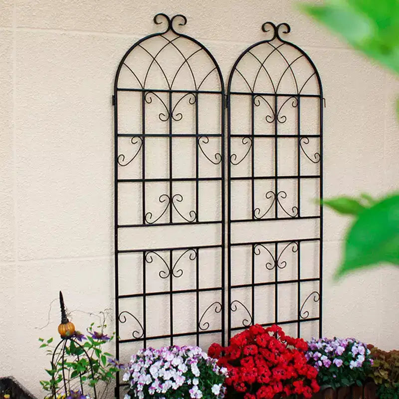 Lot de 2 treillis de jardin en métal noir antirouille de 220 x 50 cm pour plantes grimpantes