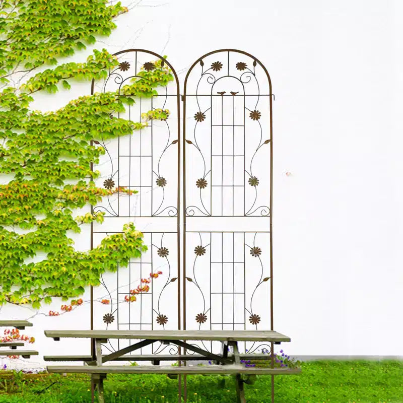 Lot de 2 treillis de jardin en métal noir antirouille de 220 x 50 cm pour plantes grimpantes