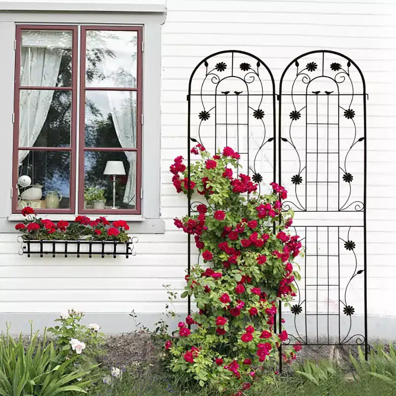 Lot de 2 treillis de jardin en métal noir antirouille de 220 x 50 cm pour plantes grimpantes